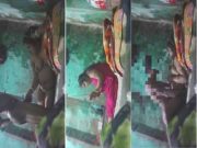 Horny Desi Bhabhi Handjob and Fucking