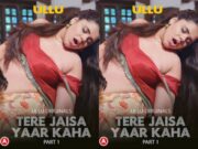 Tere Jaisa Yaar Kaha – Part 1 Episode 2